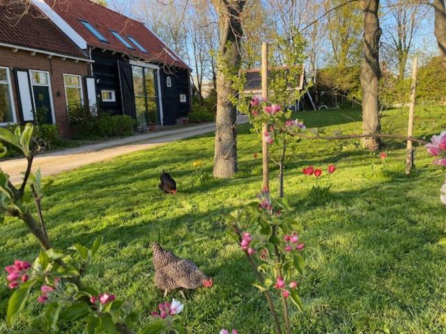 B&B Boerderij De Vaete - Duurzaam Genieten In De Zak Van Zuid-Beveland Heinkenszand ภายนอก รูปภาพ